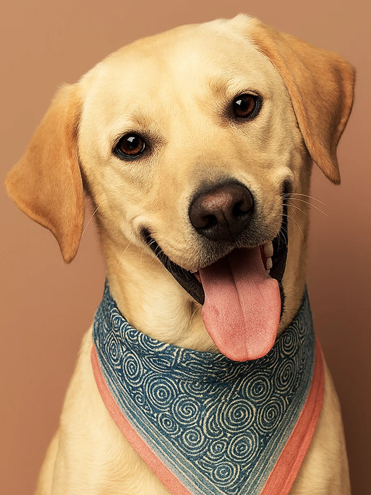 Votre animal en Mosaïque de Photos - Studio Pop Art