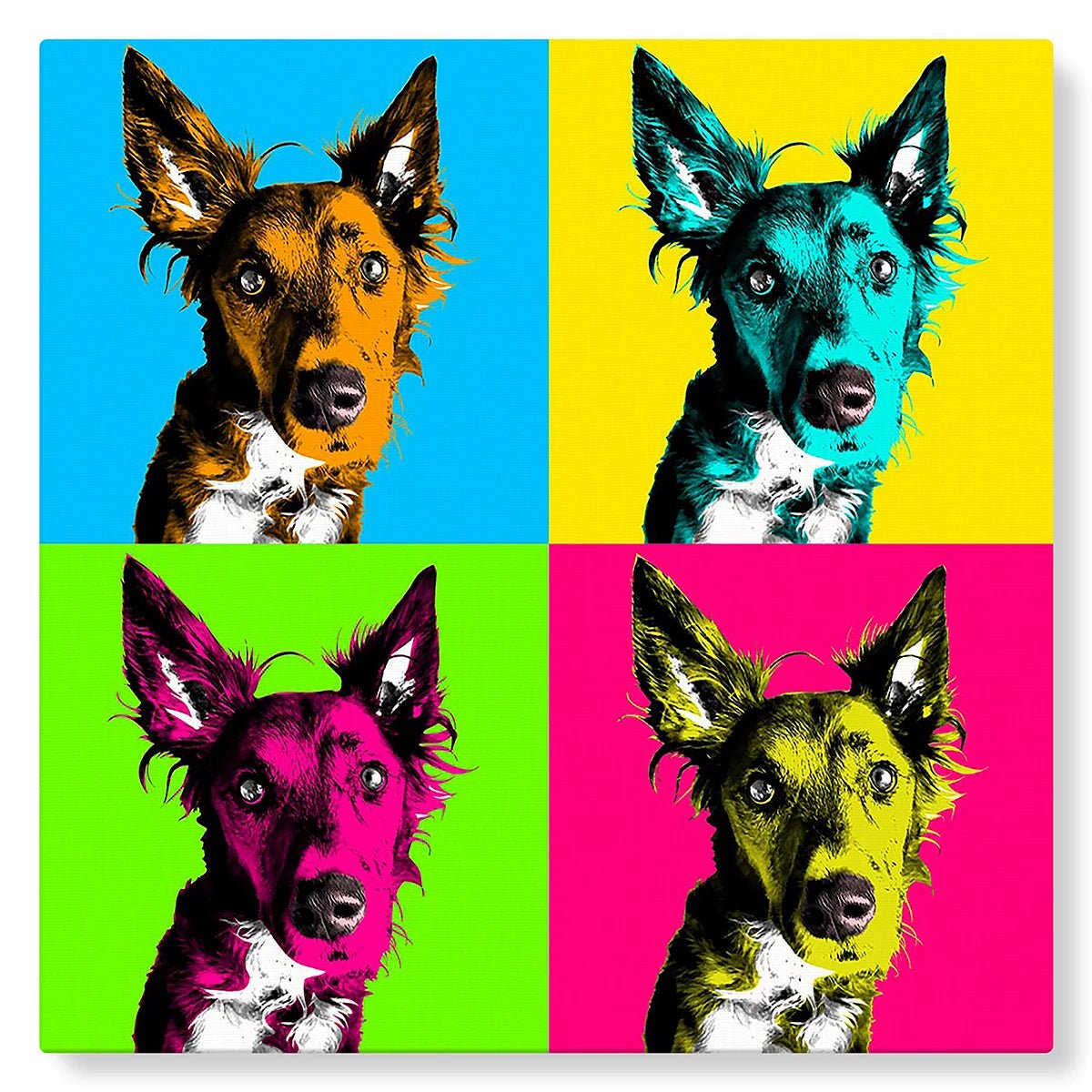 Pop Art Personnalisé de Votre Animal - Studio Pop Art