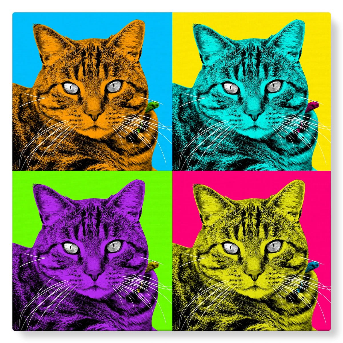 Portrait Pop Art de Votre Animal - Studio Pop Art