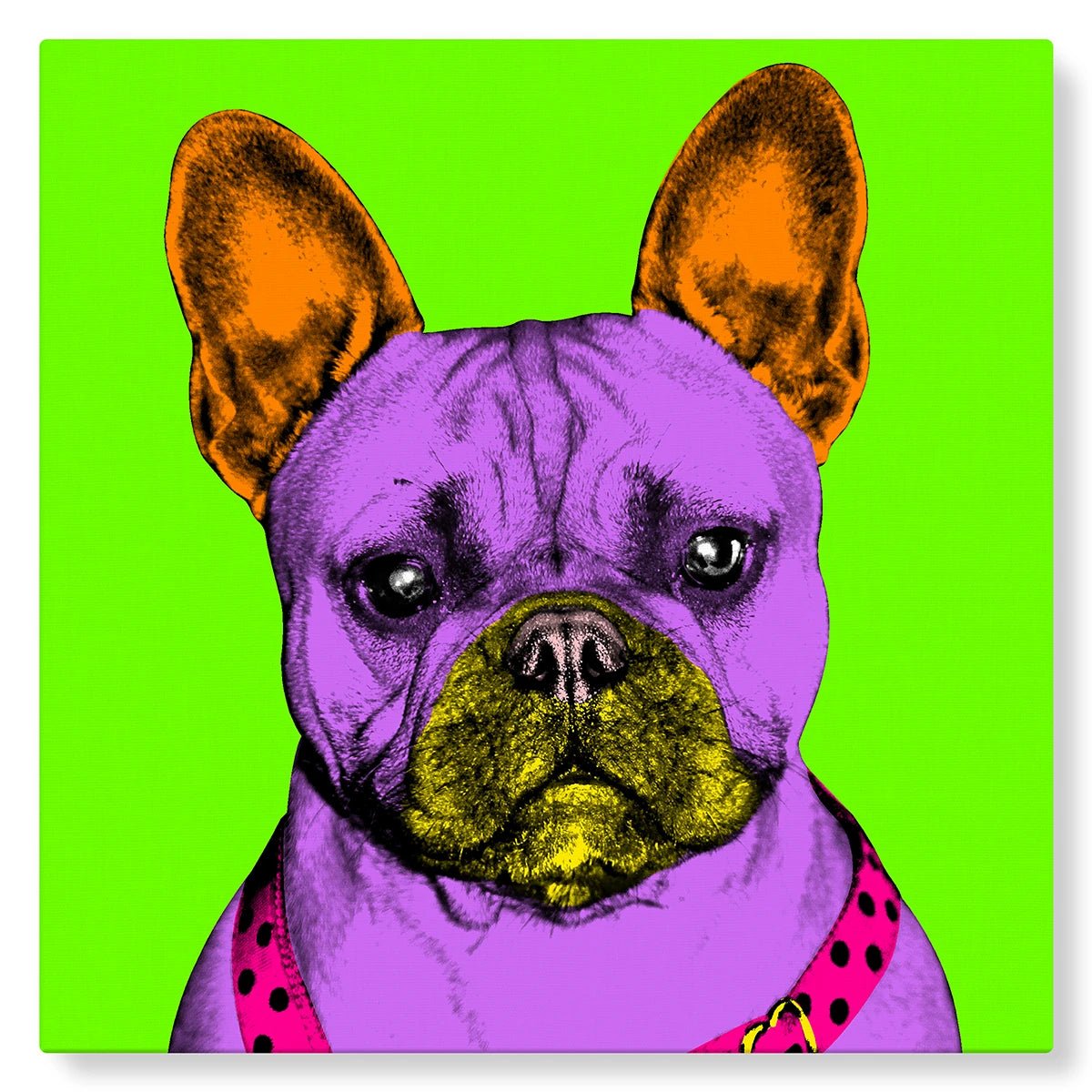Chien bulldog en Pop Art sur fond vert flashy - Studio Pop Art
