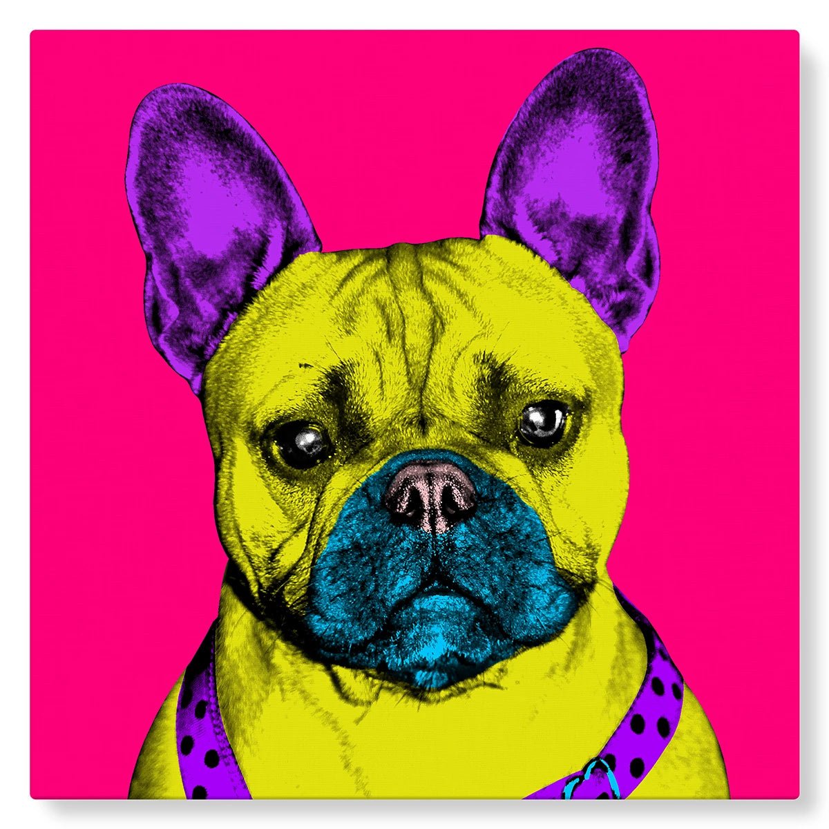 Chien bulldog en Pop Art sur fond rose flashy - Studio Pop Art