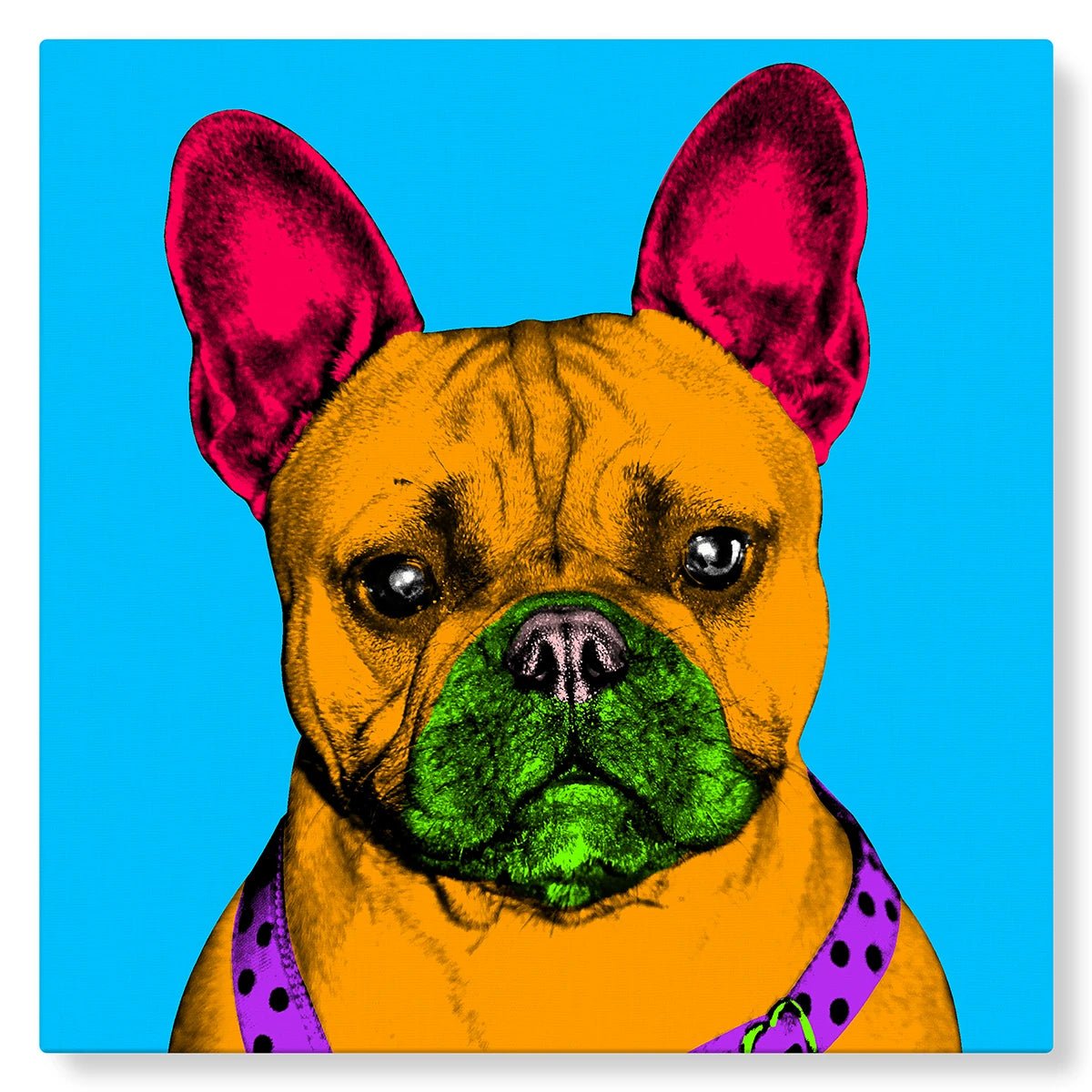 Chien bulldog en Pop Art sur fond bleu flashy - Studio Pop Art