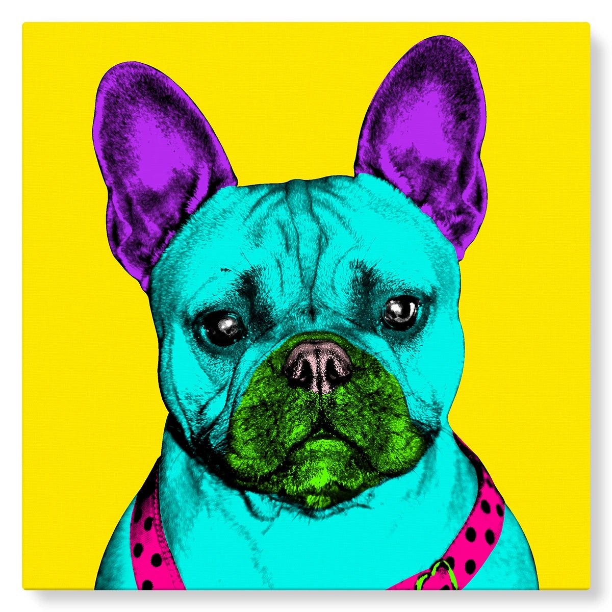 Chien bulldog en Pop Art sur fond jaune flashy - Studio Pop Art