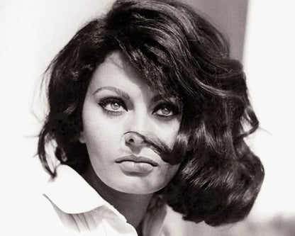Exemple d'illustration avec Sophia Loren - Studio Pop Art